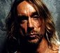 Iggy Pop small&nbsp;head